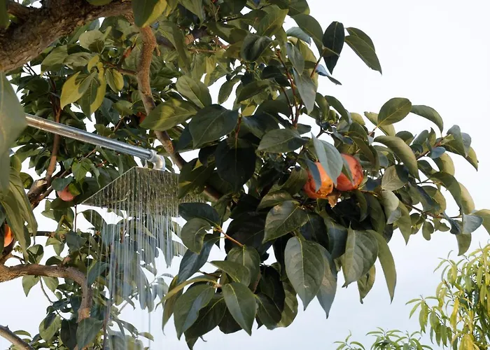 Casolare Lodedo